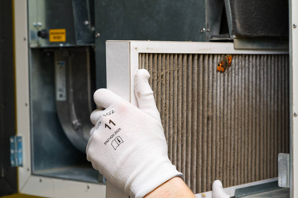 Best Residential Air Duct Cleaning  in Tubac, AZ