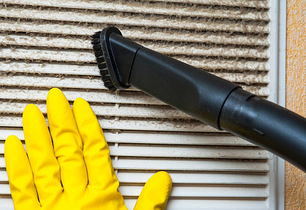 Best Affordable Air Duct Cleaning  in Tubac, AZ